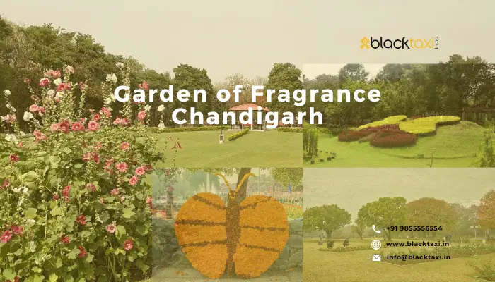 garden of fragrance chandigarh