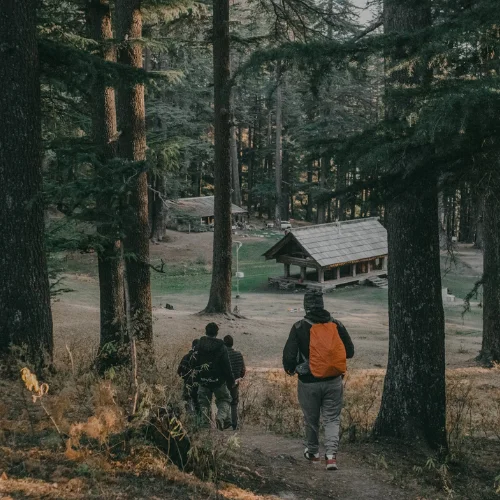 jibhi in himachal