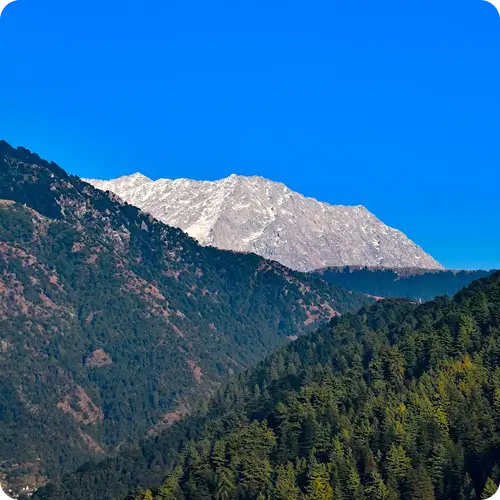 Chandigarh To Mcleod Ganj Taxi 1 Chandigarh to McLeod Ganj