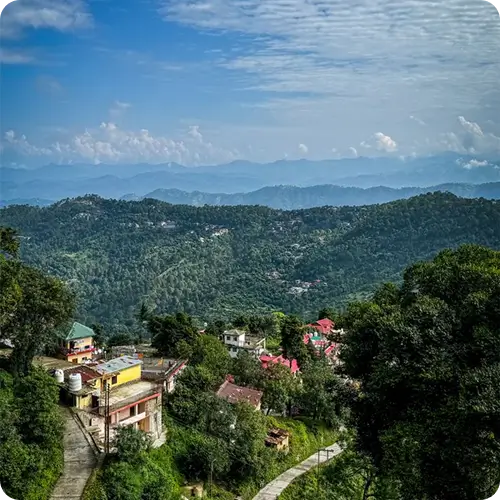Chandigarh to Kasauli Taxi Service 1