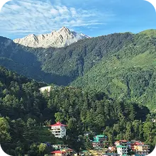 Chandigarh to Kasauli Taxi Service 10