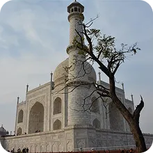 Delhi to Manali and Shimla Taxi Service 7