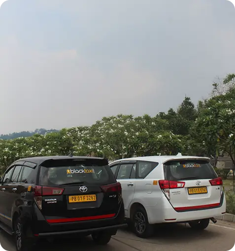 Chandigarh to Kasauli Taxi Service 6