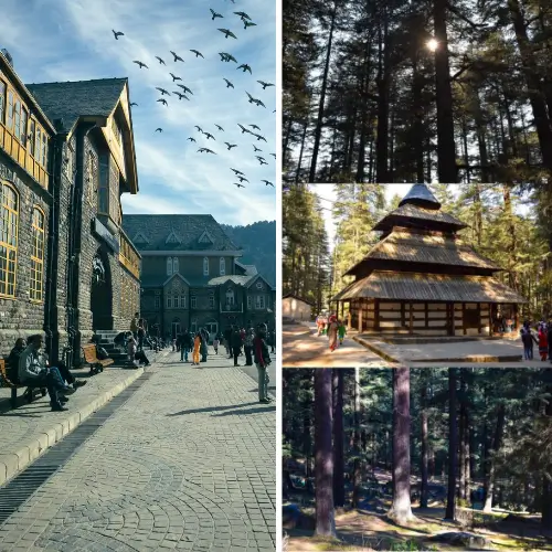 Amritsar to Manali and Shimla Taxi Service 1 shimla mall road and manali hidimba devi temple
